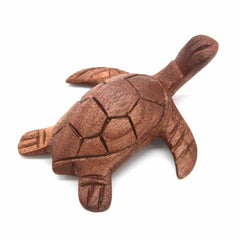 Swimming Turtle-Siesta Crafts