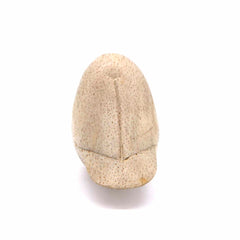 Mini Bird Woodcarving-Siesta Crafts