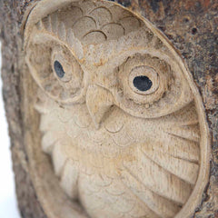 Owl in Wood-Siesta Crafts
