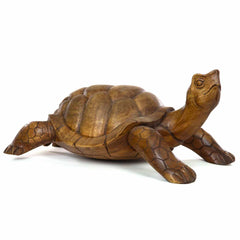 Carved Tortoise-Siesta Crafts