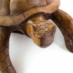 Carved Tortoise-Siesta Crafts