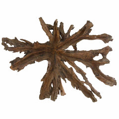 Carved Lion Head In Roots-Siesta Crafts