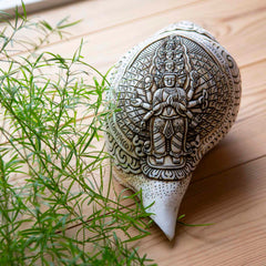 Etched Conch Shell - Avalokiteswora-Siesta Crafts