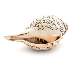 Etched Conch Shell - Avalokiteswora-Siesta Crafts