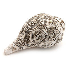 Etched Conch Shell - Ganesh-Siesta Crafts