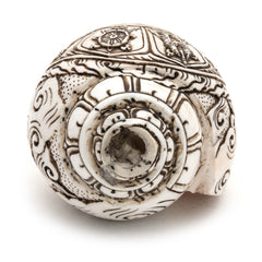 Etched Conch Shell - Ganesh-Siesta Crafts