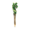 Sawdust Dragon Pencil-Siesta Crafts