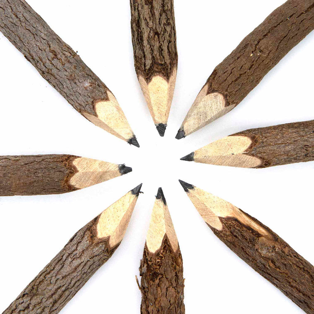 Thai Twig Pencils - Pack of 10-Siesta Crafts