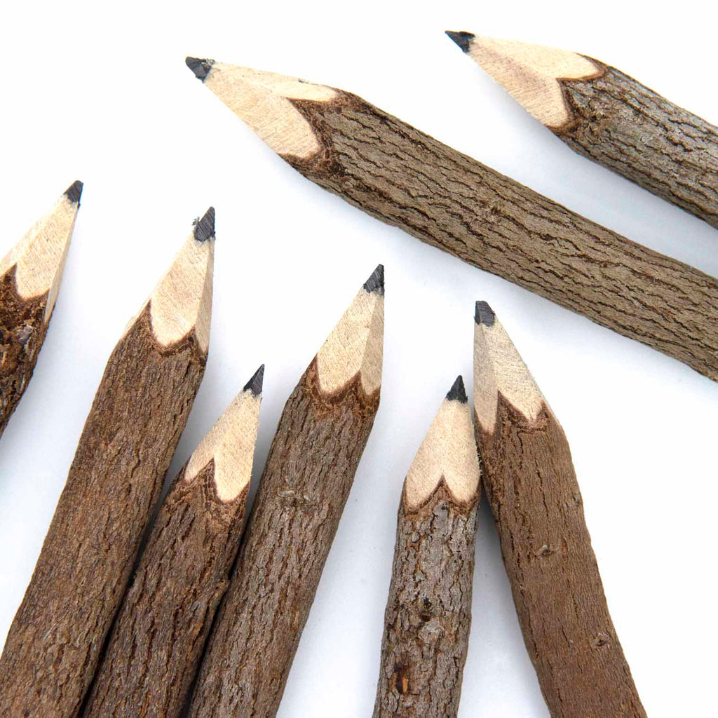 Thai Twig Pencils - Pack of 10-Siesta Crafts