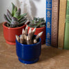 Thai Twig Pencils - Pack of 10-Siesta Crafts