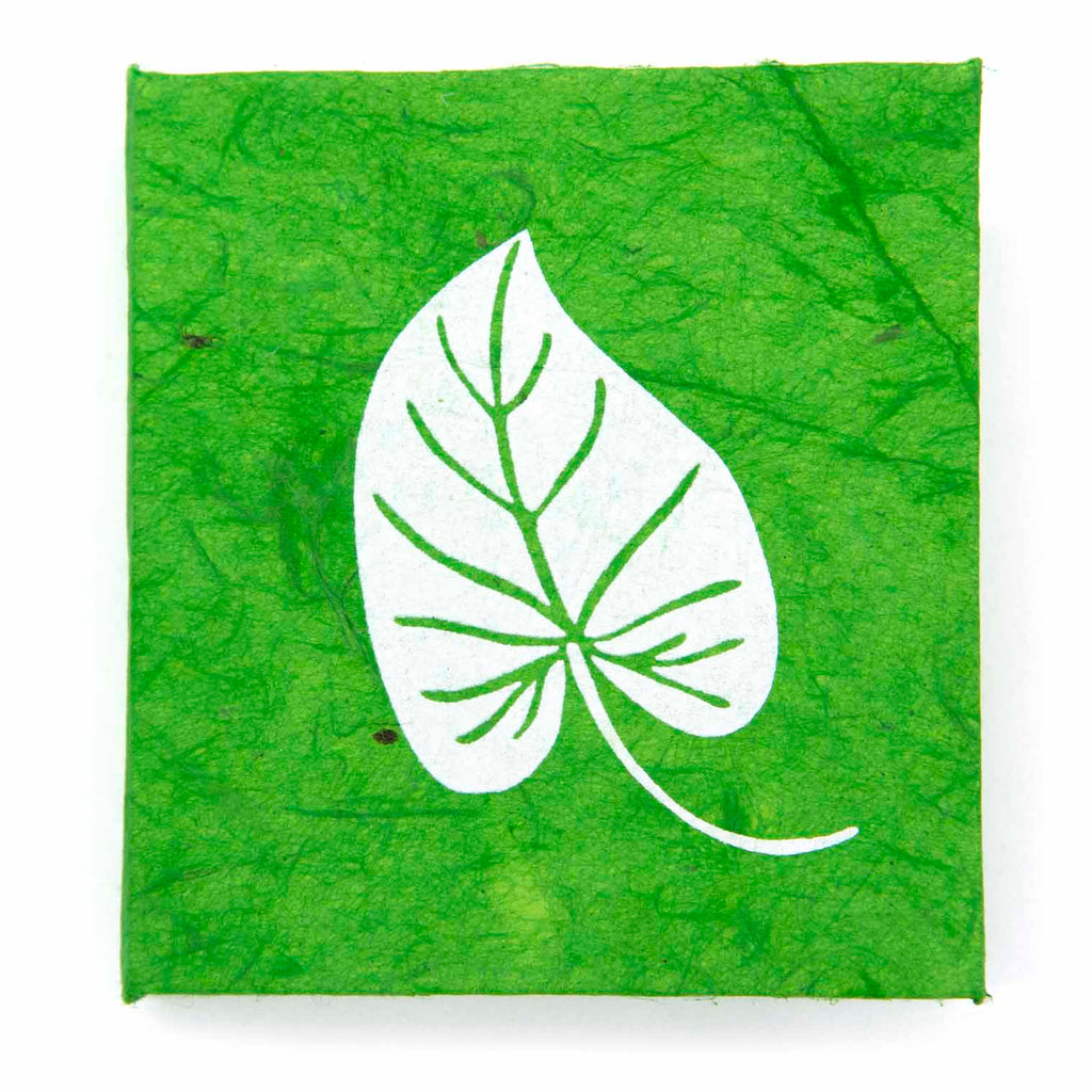 Leaf Notebook Set-Siesta Crafts