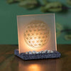 Flower of Life Enlightened Display-Siesta Crafts