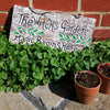 Witch's Garden Plaque-Siesta Crafts