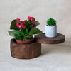 Log Box with Sliding Lid-Siesta Crafts