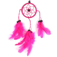 Mini Dreamcatcher-Siesta Crafts