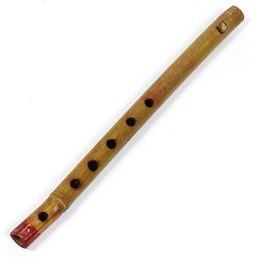 Pocket Money Flute-Siesta Crafts