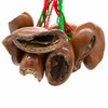 Kola Nut Shaker-Siesta Crafts