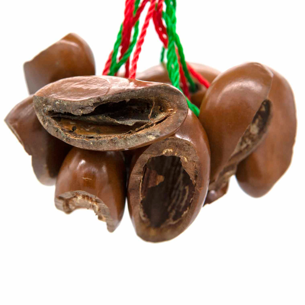 Kola Nut Shaker-Siesta Crafts
