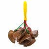 Kola Nut Shaker-Siesta Crafts