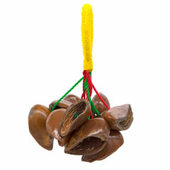 Kola Nut Shaker-Siesta Crafts