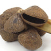 Seed Shaker with Handle-Siesta Crafts