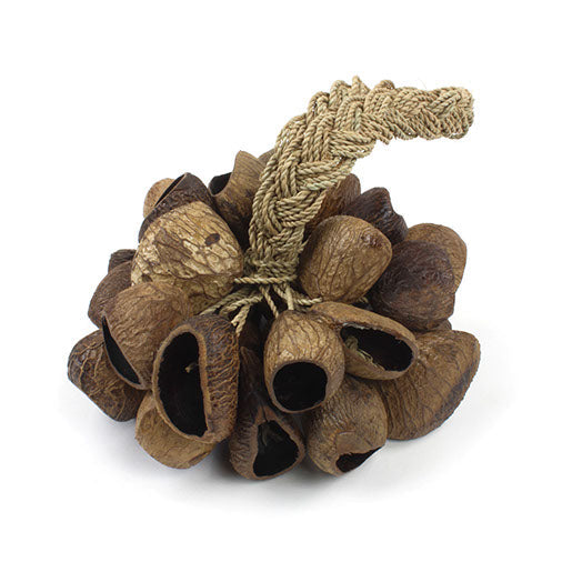 Stringed Seed Shaker-Siesta Crafts