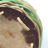 Caxixi Straw Shaker-Siesta Crafts