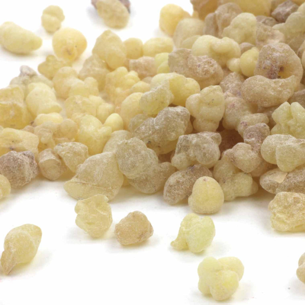 Mayan Copal Resin Incense-Siesta Crafts