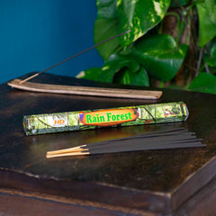 Rain Forest Hexagon Incense-Siesta Crafts