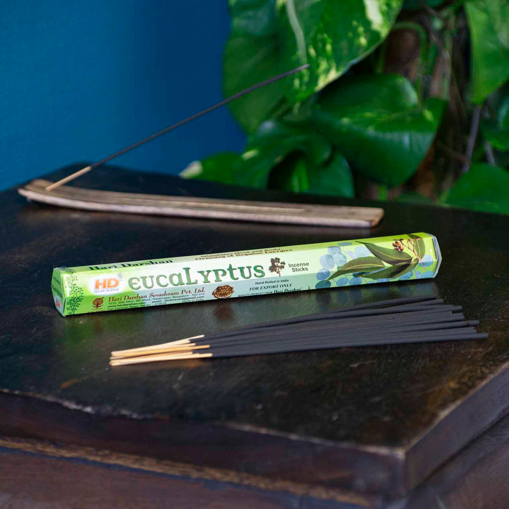 Eucalyptus Hexagon Incense-Siesta Crafts
