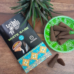 White Sage Backflow Incense Cones-Siesta Crafts