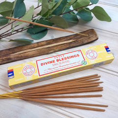Satya Divine Blessings Incense-Siesta Crafts