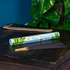 Aloe Vera Hexagon Incense-Siesta Crafts