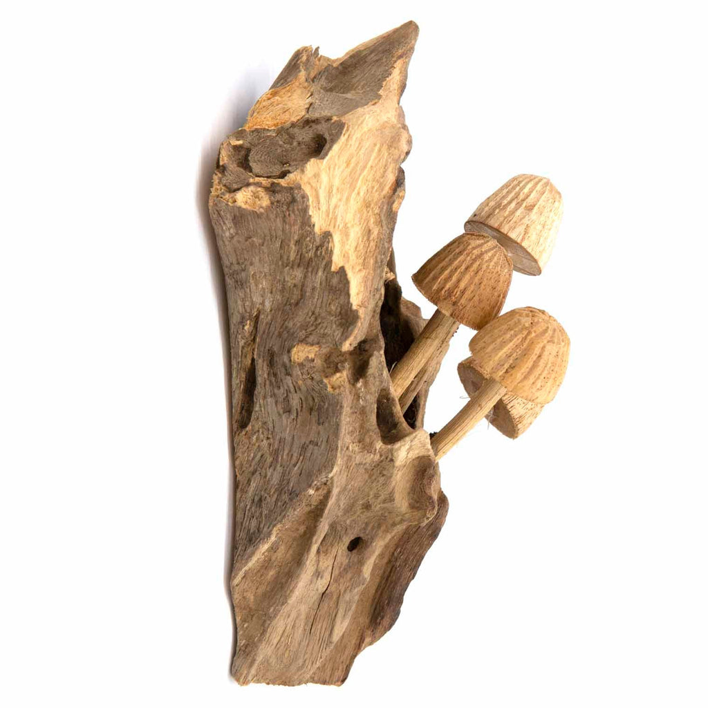 Wall Mushroom Carvings - Small-Siesta Crafts