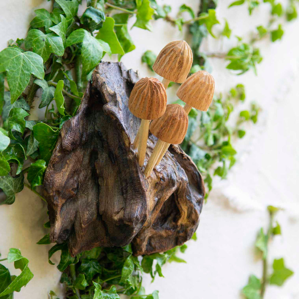 Wall Mushroom Carvings - Small-Siesta Crafts
