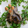 Wall Mushroom Carvings - Small-Siesta Crafts
