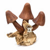 Wall Mushroom Carvings - Large-Siesta Crafts