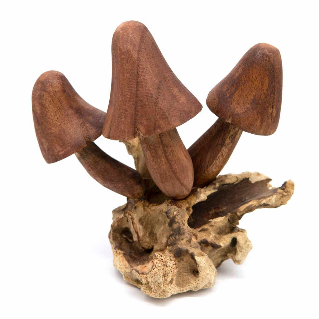 Wall Mushroom Carvings - Large-Siesta Crafts