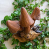 Wall Mushroom Carvings - Large-Siesta Crafts