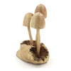 Parasite Wood Mushrooms-Siesta Crafts