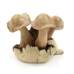 Small Parasite Wood Mushrooms-Siesta Crafts