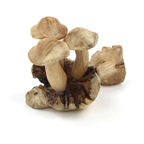 Small Parasite Wood Mushrooms-Siesta Crafts
