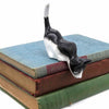 Black and White Shelf Cat-Siesta Crafts