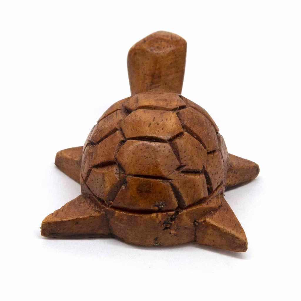 Mini Sea Turtle-Siesta Crafts