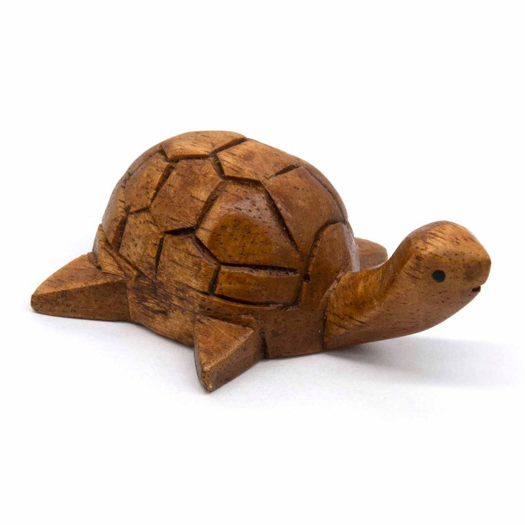 Mini Sea Turtle-Siesta Crafts