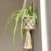 Macrame Plant Hanger-Siesta Crafts