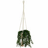 Macrame Plant Hanger-Siesta Crafts