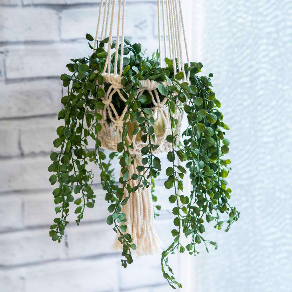 Macrame Plant Hanger-Siesta Crafts