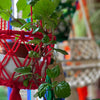 Bright Macrame Plant Hanger-Siesta Crafts