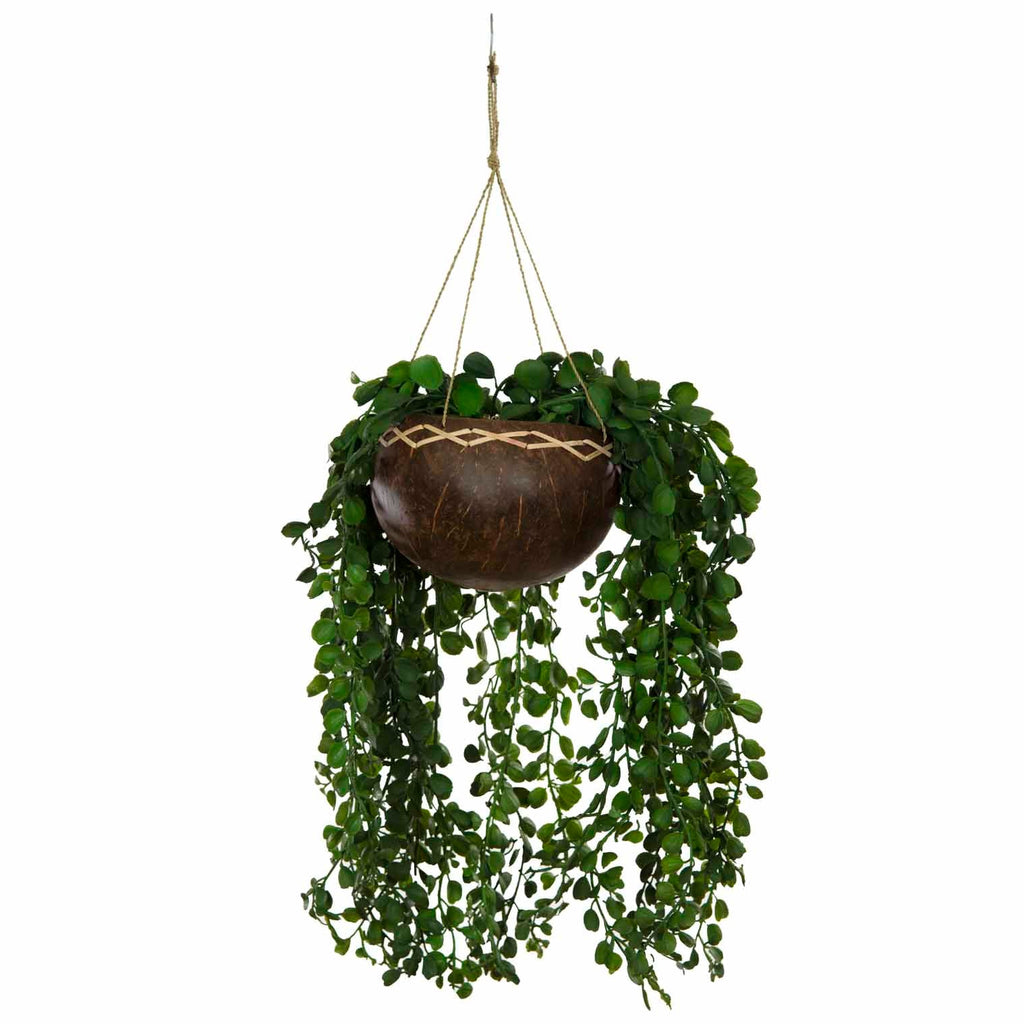Coconut Plant Hanger-Siesta Crafts